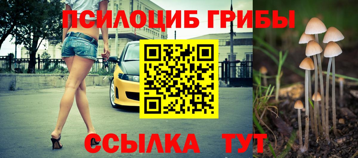 Галлюциногенные грибы ЛСД  Вход с VPN  Галлюциногенные грибы GOLDEN TEACHER  Братск 