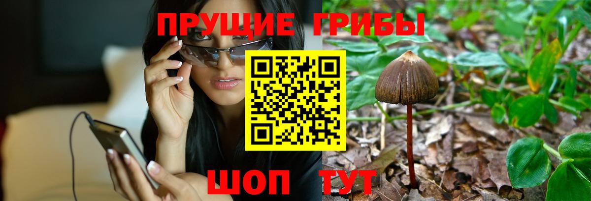 Псилоцибиновые грибы мухоморы Братск