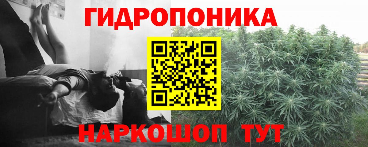 Шишки марихуана ГИДРОПОН Братск